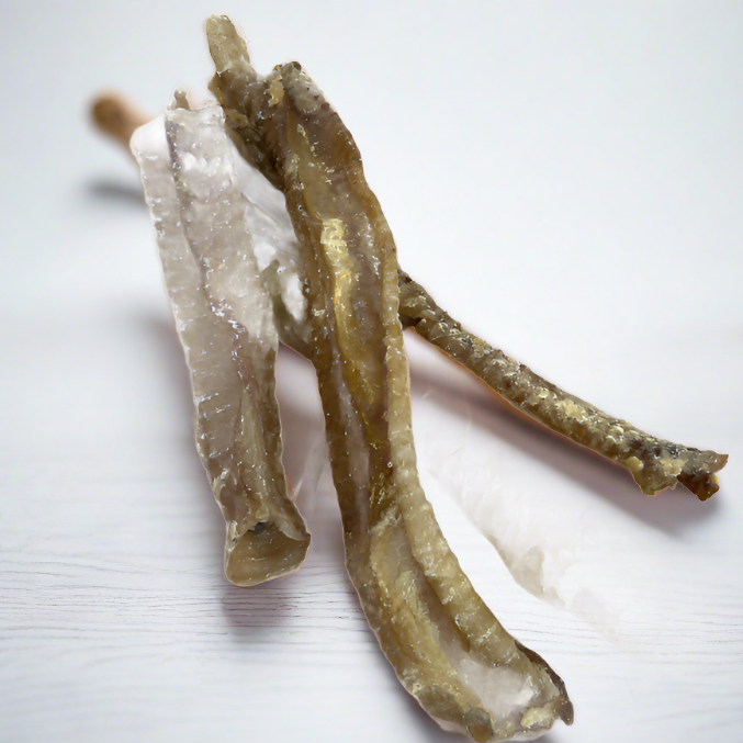 Nova | Lamb Trachea