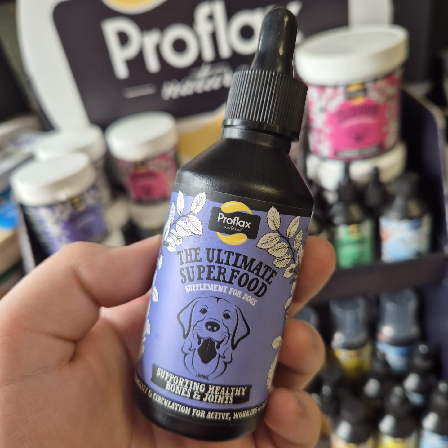 Proflax | Bones & Joints For Dogs