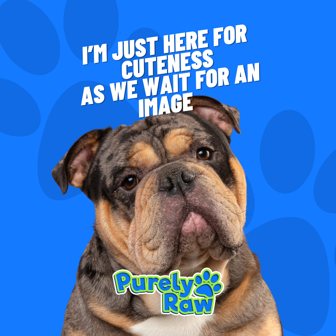 Dougie's | Goose Wings 1kg