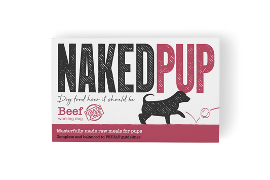 Naked Pup | Beef 2x500g