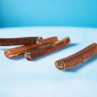 Nova | Bull Pizzle 12cm