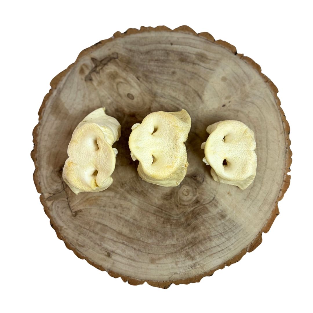 Nova | Puffed Pig Snout