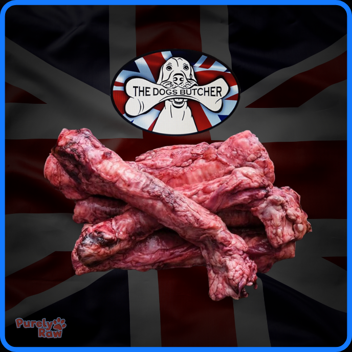 The Dogs Butcher | Lamb Trachea x5