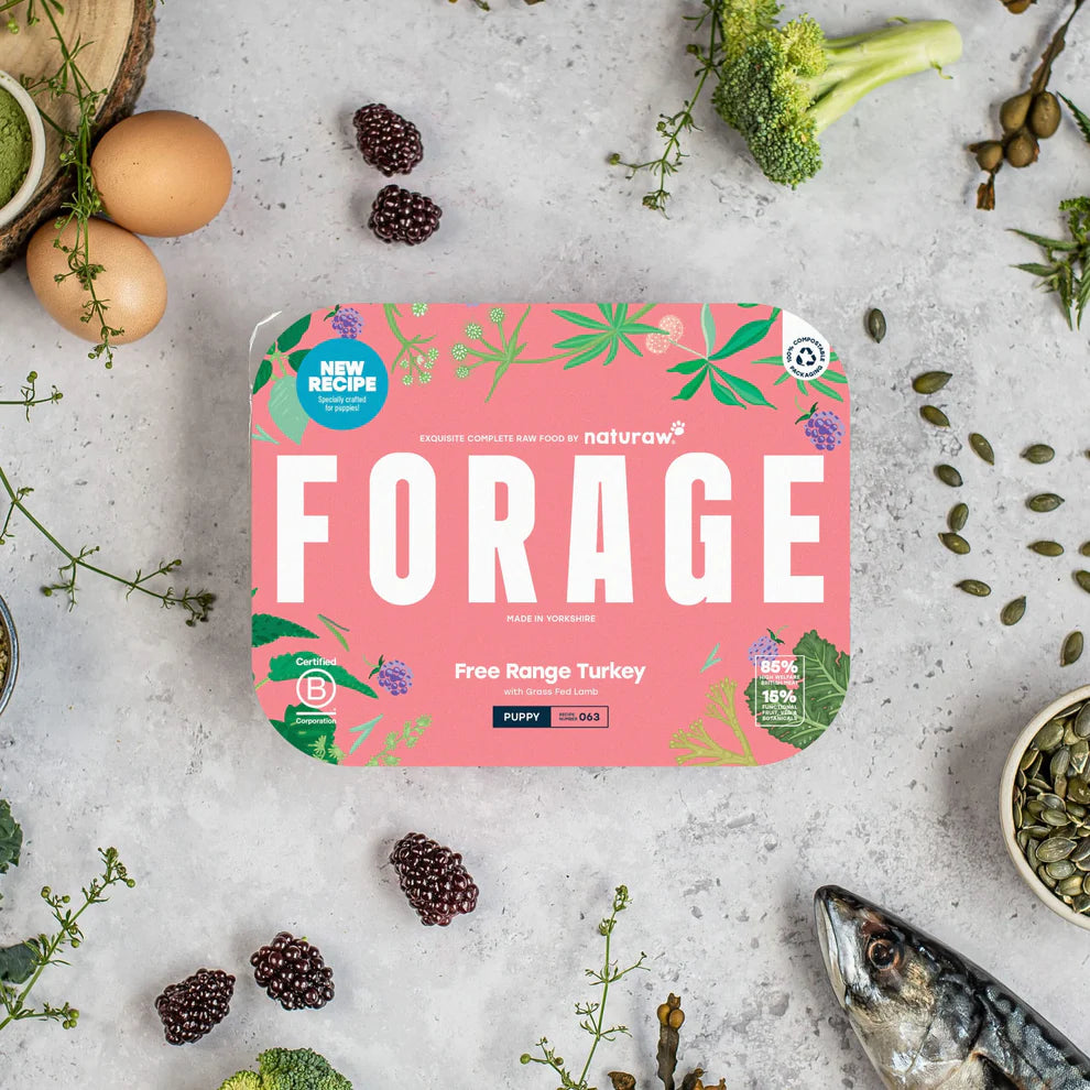 Naturaw | Forage Puppy Free Range Turkey 500g