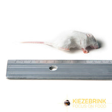 Load image into Gallery viewer, Kiezebrink - Mouse/Mice
