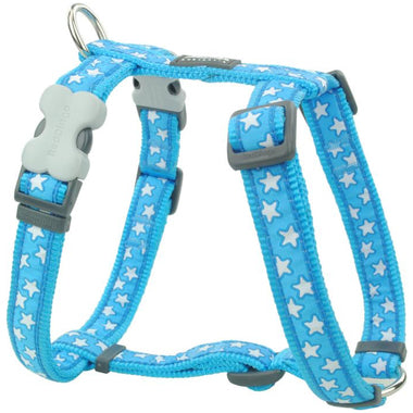 Red Dingo Turquoise White Stars