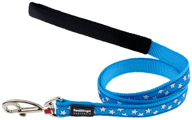 Red Dingo Turquoise White Stars