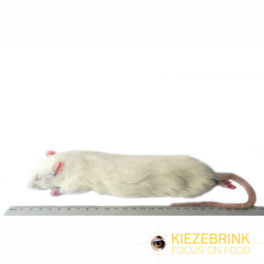 Kiezebrink | Whole Rats