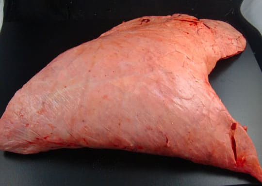 The Dogs Butcher Lamb Lung Whole 500g -1kg