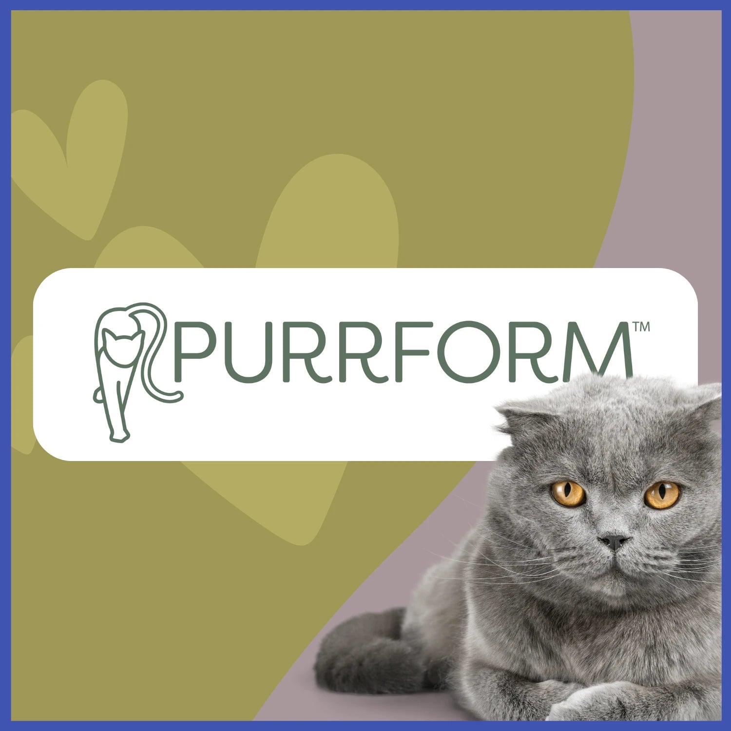 Purfrom Purrform – Purely Raw