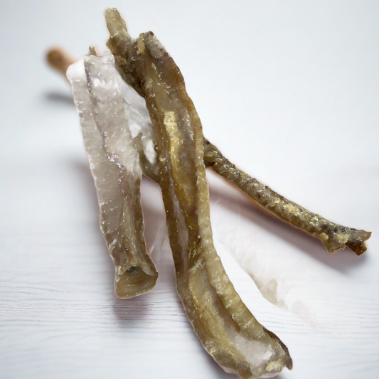 Nova | Lamb Trachea