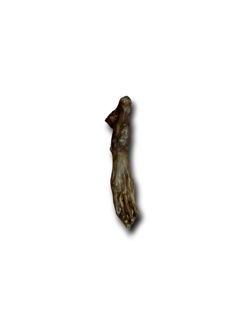Anco | Rabbit Feet