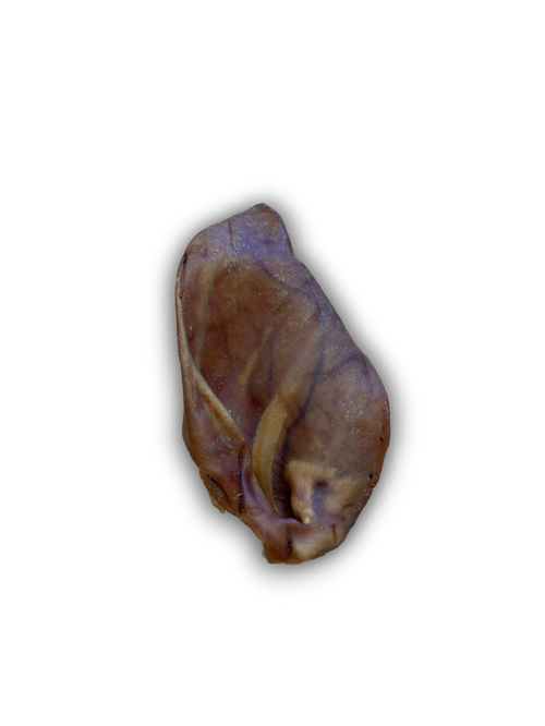 Anco | Pig Ear