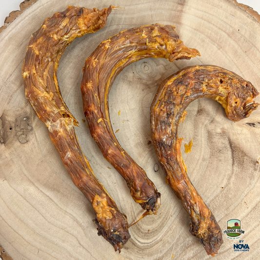 Nova | Turkey Necks