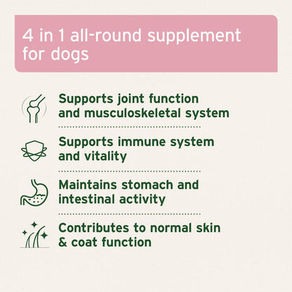 Aniforte | 4in1 Complete for dogs - Advanced Health Supplement 250g