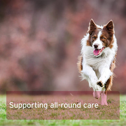 Aniforte | 4in1 Complete for dogs - Advanced Health Supplement 250g