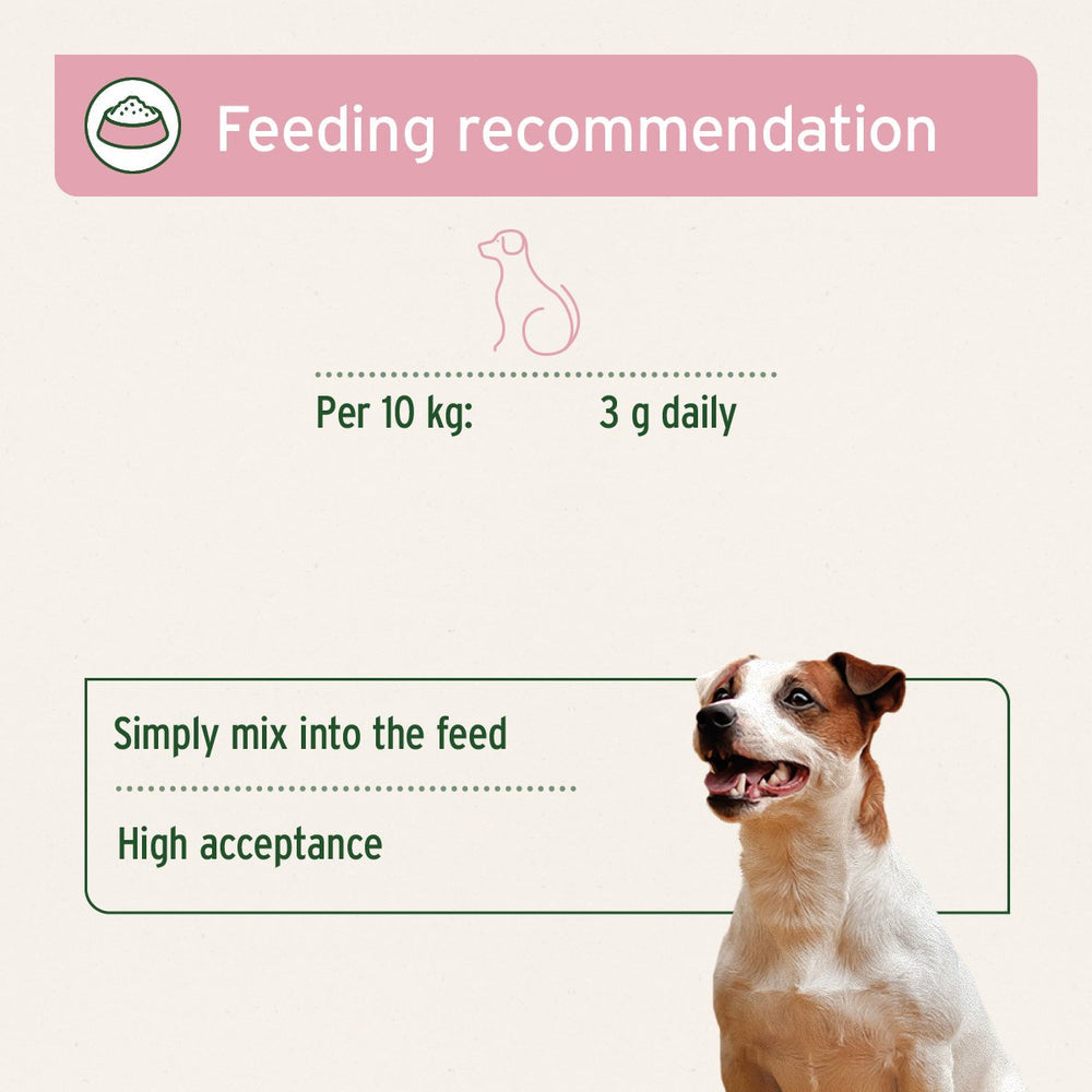 Aniforte | 4in1 Complete for dogs - Advanced Health Supplement 250g