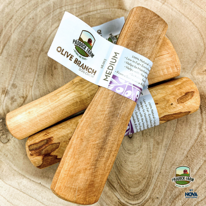 Paddock Farm | Olive Branch
