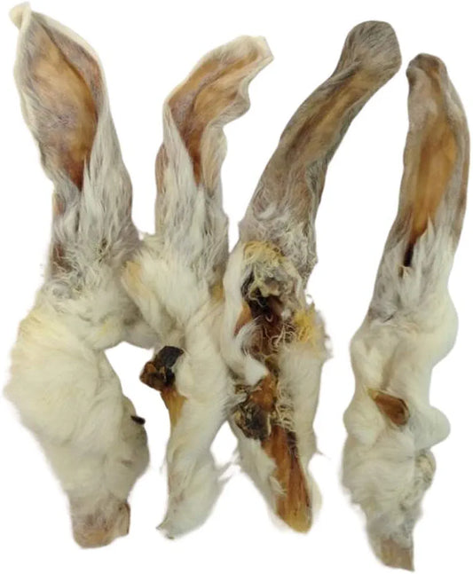 Rabbit Ears