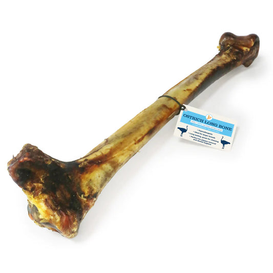 JR | Ostrich Long Bone