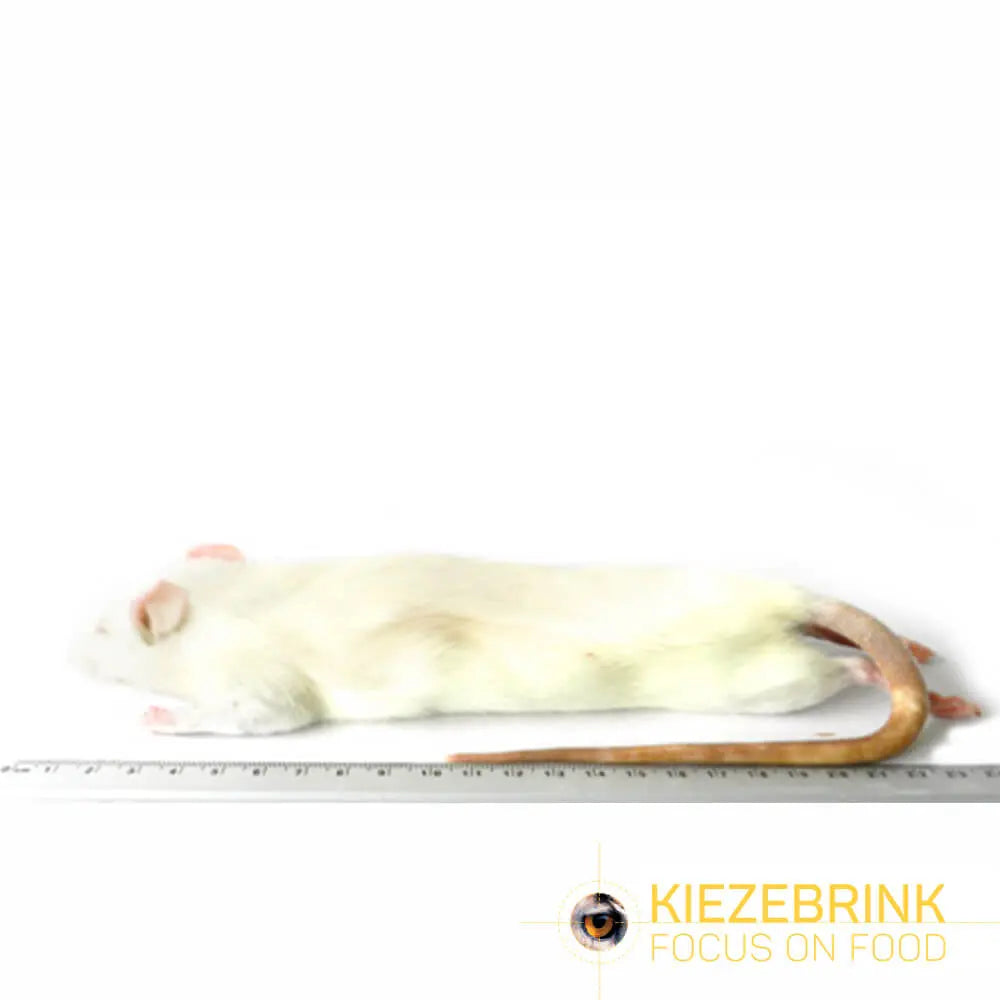 Kiezebrink | Whole Rats
