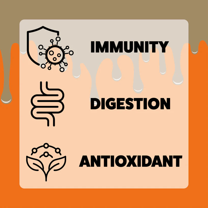 Axel's Elixir | Milk & Honey Pumpkin Spiced Latte