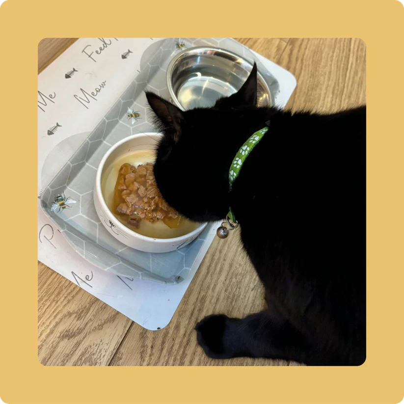 Axel's Elixir | Turkey Happy Bones For Cats