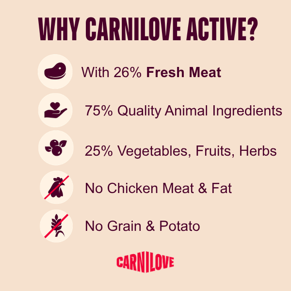 Carnilove | Active Cat Salmon & Turkey