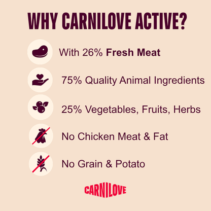 Carnilove | Active Cat Salmon & Turkey