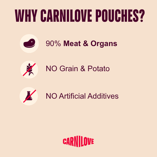 Carnilove | Gravy Pouch for Cats Multipack (12 x 85g)