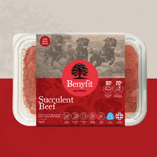 Benyfit Natural Succulent Beef Complete 1kg