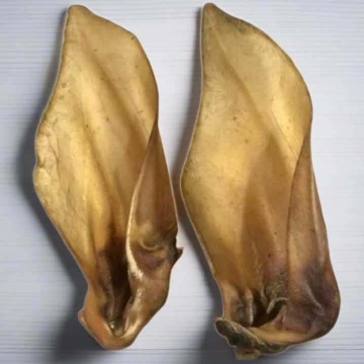 Nova | Buffalo Ear Hairy