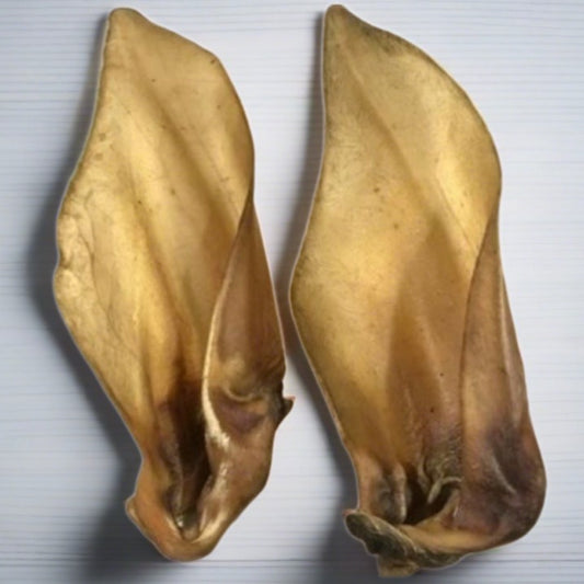 Nova | Buffalo Ear Hairy