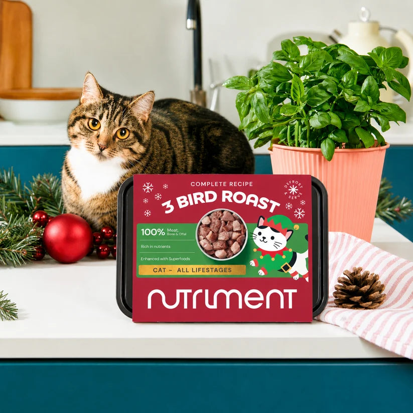 Nutriment | Cat 3 Bird Roast Christmas Limited Edition 500g