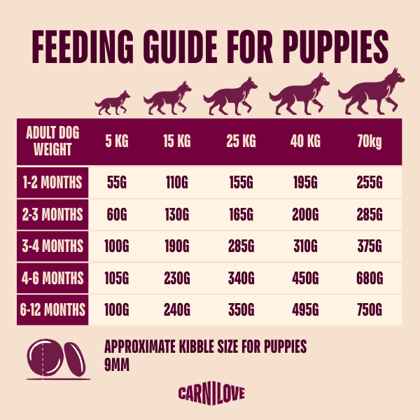Carnilove | Active Dog Salmon & Turkey Puppy