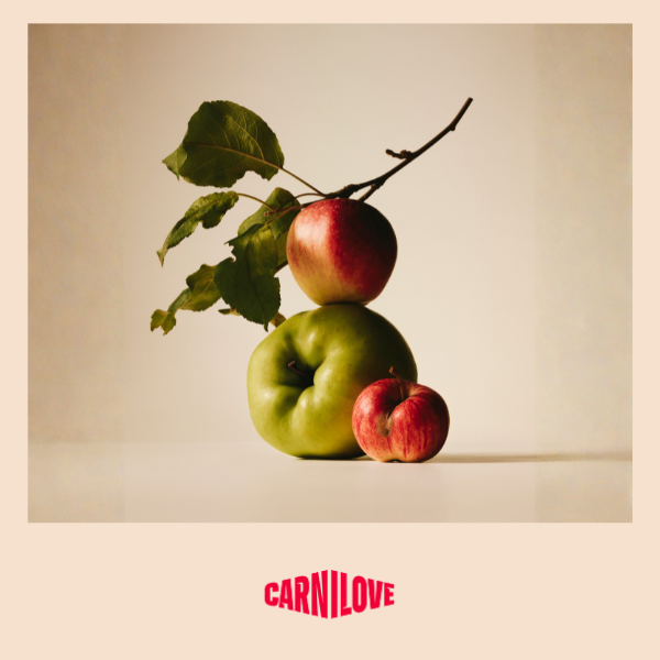 Carnilove | Active Dog Duck & Pheasant