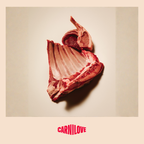 Carnilove | Active Dog Lamb & Wildboar