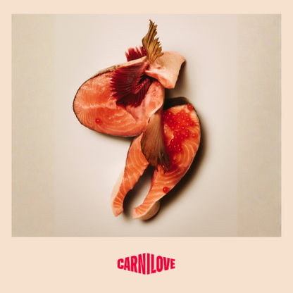 Carnilove | Active Cat Salmon & Turkey
