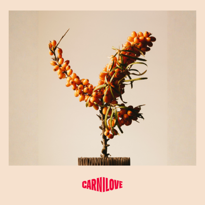 Carnilove | True Fresh Dog Turkey