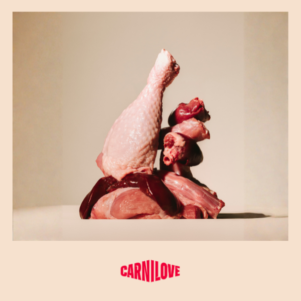 Carnilove | True Fresh Dog Turkey