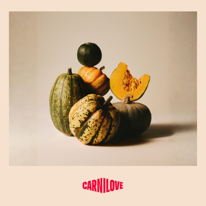 Carnilove | Active Dog Large Breed Salmon & Turkey