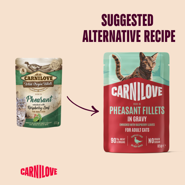 Carnilove | NEW Gravy Pouch Rich in Pheasant with Raspberry Leaves for Cats 85g