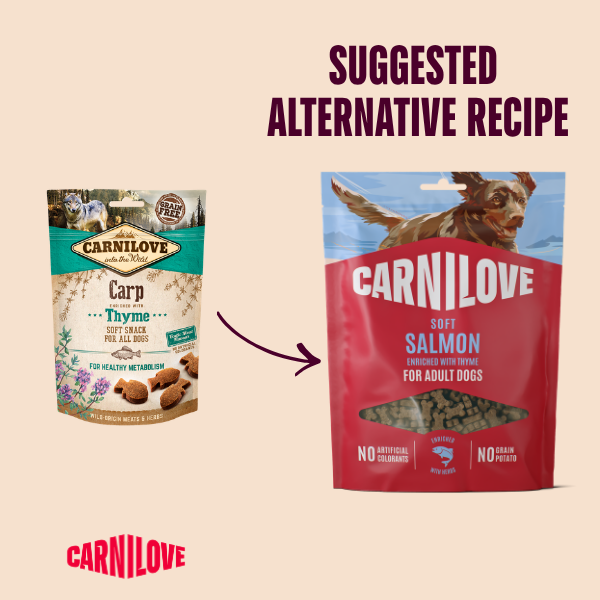 Carnilove | Salmon with Thyme soft treats for dogs