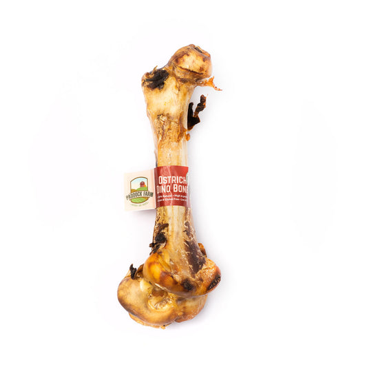 Nova | Ostrich Dino Bone