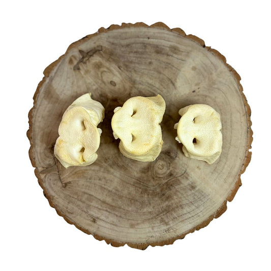 Nova | Puffed Pig Snout