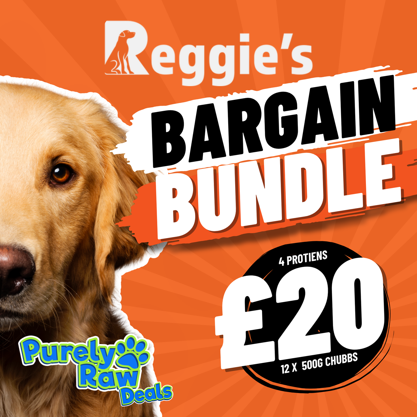 Reggie's | Bargain Bundle (Online Exclusive)