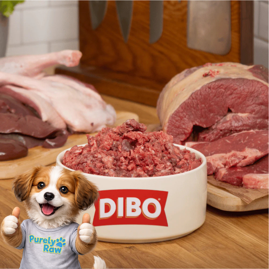 DIBO Finest | Puppy Lamb Tripe with Duck 80:10:10