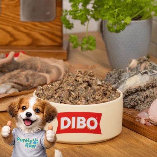DIBO Finest | Puppy Duck & Tripe 90:10