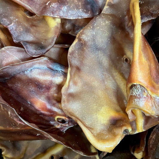 Nova | XL Pig Ear