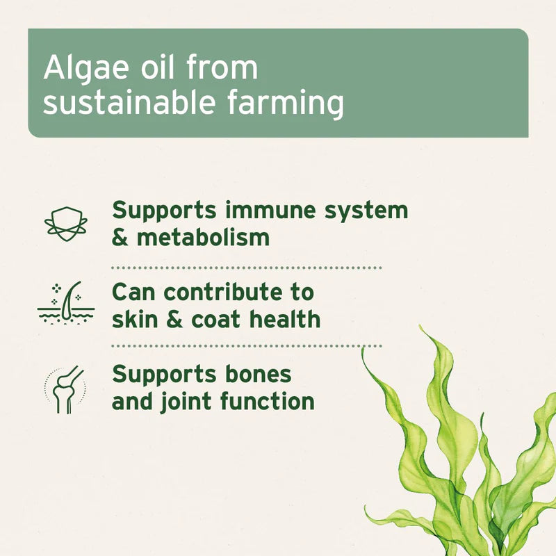Aniforte | Algae Oil 50ml